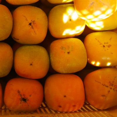 ãå
è¡åä»ãæ©æ¬åžç£ããããªãæ¿ã2kgã(å®¶åºçšãèš³ãã)ã1526601ã