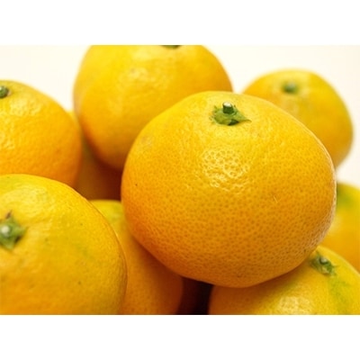 【先行受付】柳フルーツ園からの贈り物 Bセット【1143954】