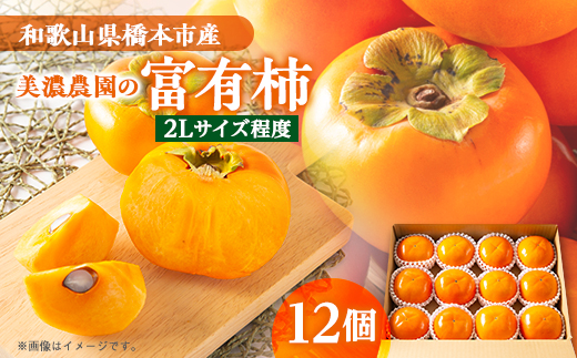 和歌山県産　美濃農園の富有柿　12個(2Lサイズ程度)【配送不可地域：離島・北海道・沖縄県】【1253530】