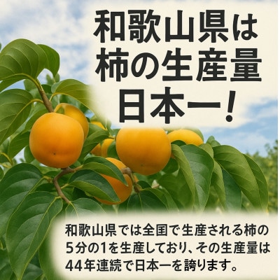 æ³ãã«ãŒãåã®å¹²ãæ¿ã»ãã çŽ2kgã1457263ã