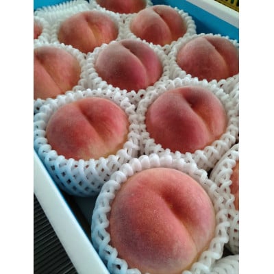 蜥梧ュ悟アア縺ョ譯縲後&縺上イ繧√崎ィ4kg 11蛟九13蛟九宣埼∽ク榊庄蝨ー蝓滂シ夐屬蟲カ縲代1639768縲