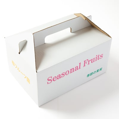 【2025年11月下旬から配送】富有柿のドライフルーツ　8袋【1141711】