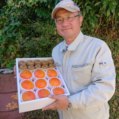 富有柿とキウイフルーツの詰め合わせ【1077104】