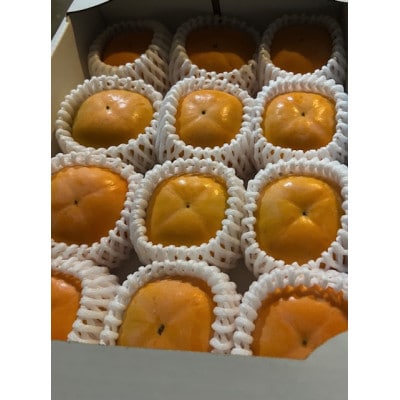 【先行受付】贈答用　たねなし柿　3kg【1519944】