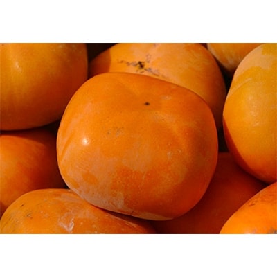 【先行受付】柳フルーツ園のたねなし柿　5kg【1077823】