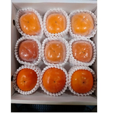 柿の食べ比べセット　9個入り(2L〜3L)【1392507】