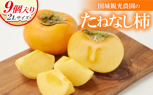 国城観光農園のたねなし柿9個入り(2Lサイズ)【配送不可地域：北海道・沖縄県】【1110577】