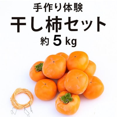 【先行予約】干し柿セット 約5kg【2026年秋冬配送】柳フルーツ園【1457269】