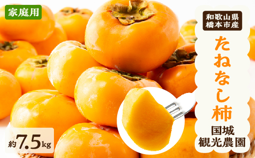 【2026年度発送分】国城観光農園のたねなし柿(家庭用・訳あり)約7.5kg【1143474】