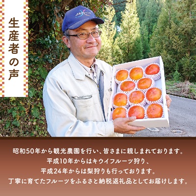 åœå芳å
蟲åã®çŽã®å·æ¿11ã12å(2Lã3Lãµã€ãº)ã1077105ã