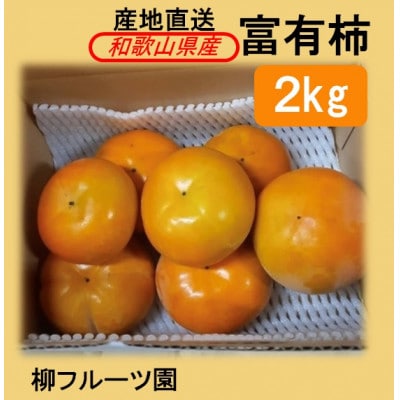 柳フルーツ園の富有柿 約2kg【2026年冬配送】【1456563】