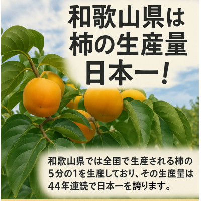 柿【先行受付】柳フルーツ園 たねなし柿 約2kg【1430450】