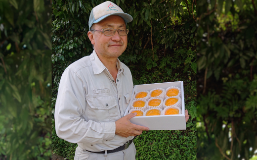 åœå芳å
蟲åã®ãããªãæ¿9åå
¥ã(2Lãµã€ãº)ãé
éäžå¯å°åïŒåæµ·éã»æ²çžçãã1110577ã