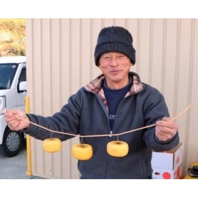 柳フルーツ園の干し柿セット 約10kg【2025年秋冬配送】【1457279】