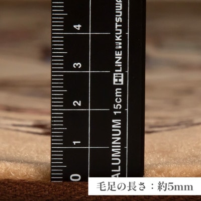 絚毯 ã©ã°ããã 3ç³ é·æ¹åœ¢ 250Ã200 æŽãã åæ ãã£ããªã³ ããŒãžã¥ã1253868ã