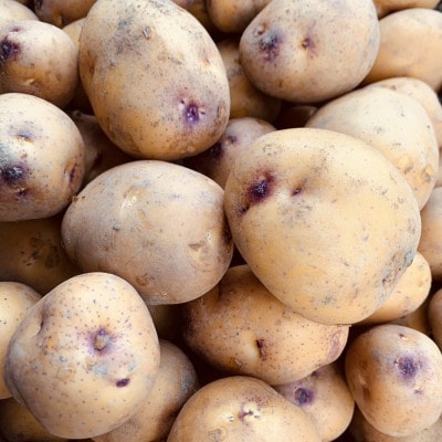 æ œå¹æéäžèŸ²è¬ã»ååŠè¥æäžäœ¿çšãæ°ãããã€ã³ã«ã®ãããçŽ8ããã1701432ã