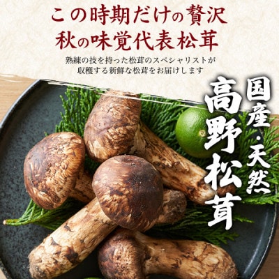 åœç£ã倩ç¶é«éæŸèžãçŽ200g 2026幎åºè·ãé
éäžå¯å°åïŒé¢å³¶ã»åæµ·éã»æ²çžçãã1601023ã