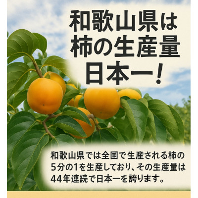 【2026年10月以降順次発送】和歌山産　ご家庭用たねなし柿(約7.5kg箱入)【1496124】