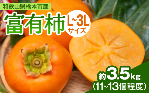 ケーズファーム　富有柿　11〜13個入　約3.5kg【1017760】