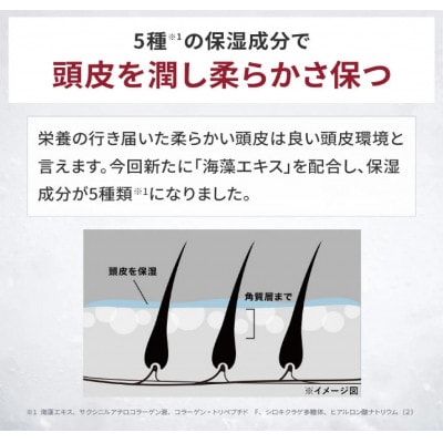 ã¹ã«ã«ãDãè¬çšã¹ã«ã«ãããã¯ã³ã³ãã£ã·ã§ããŒ|ã³ã³ãã£ã·ã§ã㌠ã¡ã³ãº è¬çš ãã¢ã±ã¢ã1532547ã
