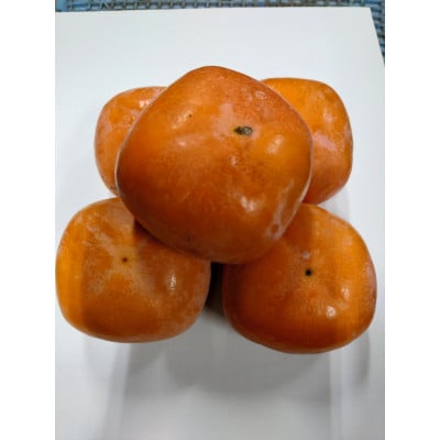 紀の川柿(訳あり品)12〜15個入り【1393921】