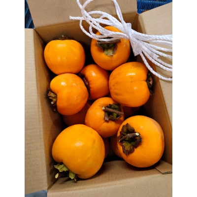 吊るし柿用生渋柿(百目柿、江戸柿)　12〜18個入り【1393085】