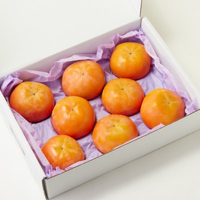 【先行予約】匠果樹園 富有柿【秀品】白紫箱 MまたはLサイズ【2026年11月〜12月発送】【1473501】