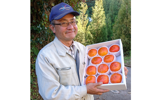 åœå芳å
蟲åã®å¯ææ¿11ã12å(3ã4L)ã1077106ã