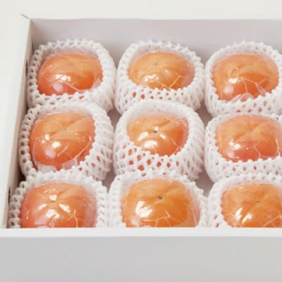 和歌山県産 紀の川柿 真空包装 2L 9個入り【1597973】