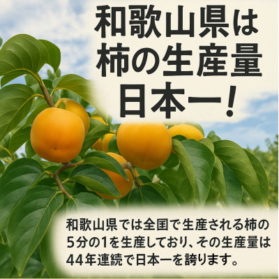 柳フルーツ園の干し柿セット 約10kg【2025年秋冬配送】【1457279】