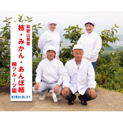 【先行受付】柳フルーツ園の富有柿【1362150】