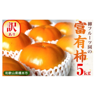 【先行予約】訳あり富有柿 約5kg　柳フルーツ園　2026年秋冬配送【1456567】