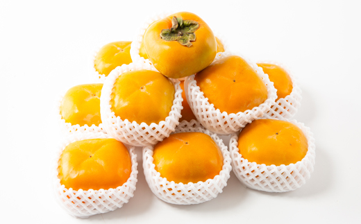 ケーズファーム　平たねなし柿　12〜13個入　2L〜3Lサイズ【1147921】