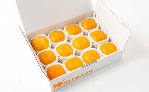 ケーズファーム　平たねなし柿　12〜13個入　2L〜3Lサイズ【1147921】