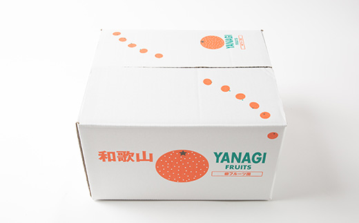 【先行予約】訳あり富有柿 約5kg　柳フルーツ園　2026年10月以降配送【1456567】