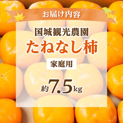 【2026年度発送分】国城観光農園のたねなし柿(家庭用・訳あり)約7.5kg【1143474】
