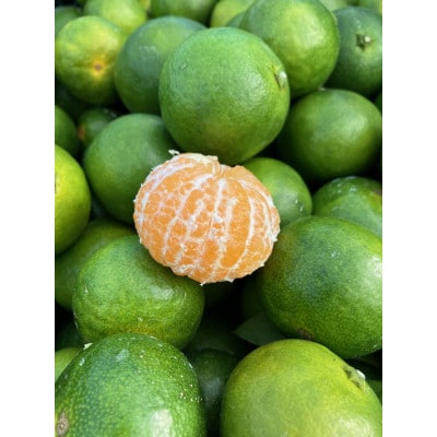 ãå
è¡åä»ãåæå±±çç£æž©å·ã¿ããã5kgãããããåã1549547ã