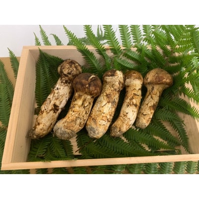 【和歌山産】〜香りそのまま真空パック〜高級・希少 高野松茸　200g(訳有品詰合せ)【配送不可地域：離島・北海道・沖縄県】【1340753】