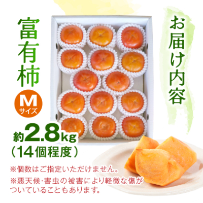 ケーズファーム　富有柿　M　14個程度(約2.8kg)【1135662】