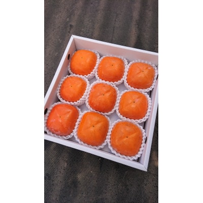 åœå芳å
蟲åã®çŽã®å·æ¿9åå
¥ã(2Lã3Lãµã€ãº)ãé
éäžå¯å°åïŒåæµ·éã»æ²çžçãã1110575ã