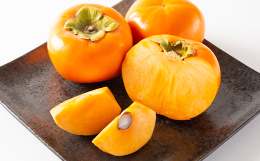 åœå芳å
蟲åã®å¯ææ¿11ã12å(3ã4L)ã1077106ã