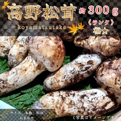 【和歌山産】〜香りそのまま真空パック〜高級・希少高野松茸　300g(福:★)【配送不可地域：離島・北海道・沖縄県】【1340770】