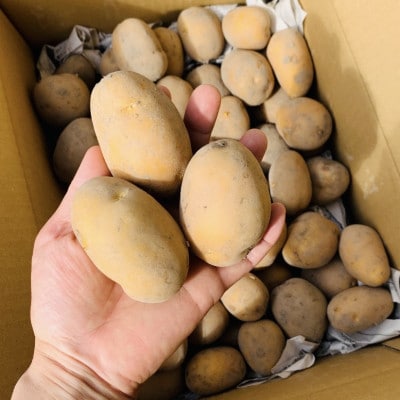 æ œå¹æéäžèŸ²è¬ã»ååŠè¥æäžäœ¿çšãæ°ãããã€ã³ã«ã®ãããçŽ8ããã1701432ã