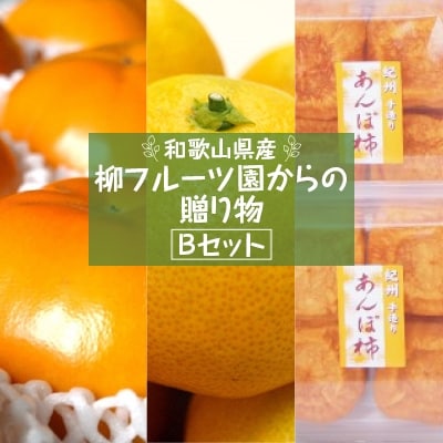 【先行受付】柳フルーツ園からの贈り物 Bセット【1143954】