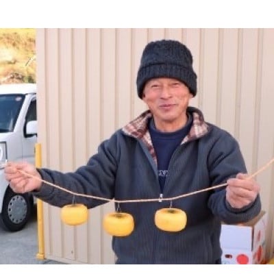 【先行受付】柳フルーツ園 干し柿セット 約5kg【1457269】