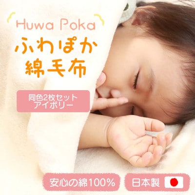 【同色2枚セット】ふわぽか 綿毛布 アイボリー 100×140cm 日本製 綿100% 毛布【1607522】