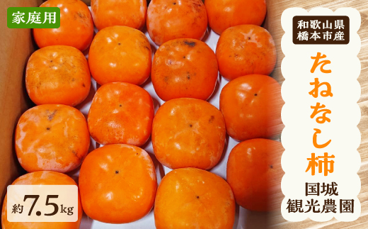 【2026年度発送分】国城観光農園のたねなし柿(家庭用・訳あり)約7.5kg【1143474】