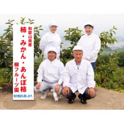 柿【先行受付】柳フルーツ園 富有柿 約2kg【1456563】