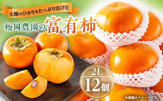 【先行予約:2026年配送】太陽の光をたっぷり浴びた松岡農園の富有柿(2L　12個)【1090793】