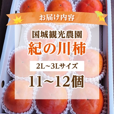 åœå芳å
蟲åã®çŽã®å·æ¿11ã12å(2Lã3Lãµã€ãº)ã1077105ã